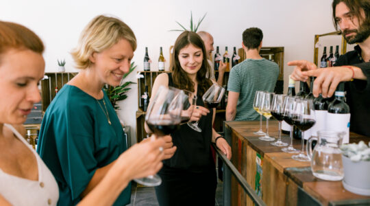 Verres à dégustation
